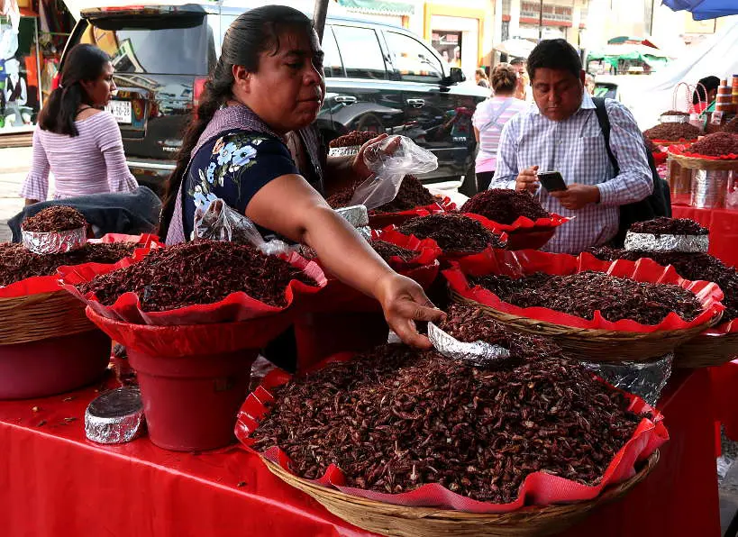 Chapulines Oaxaca food by Authentic Food Quest