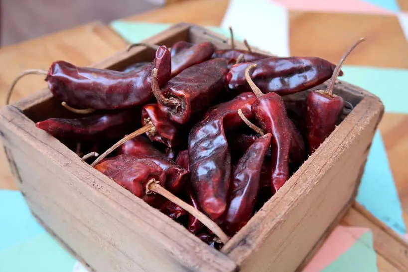 Chile Tabiche at Casa Taviche Oaxaca Restaurant by Authentic Food Quest