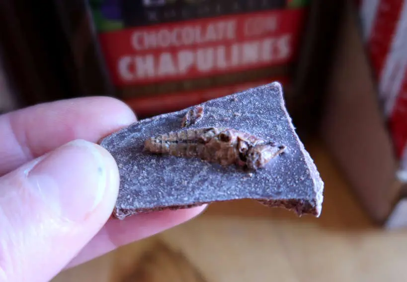 Chocolate with Chapulines an exotic Oaxaca Chocolate AuthenticFoodQuest
