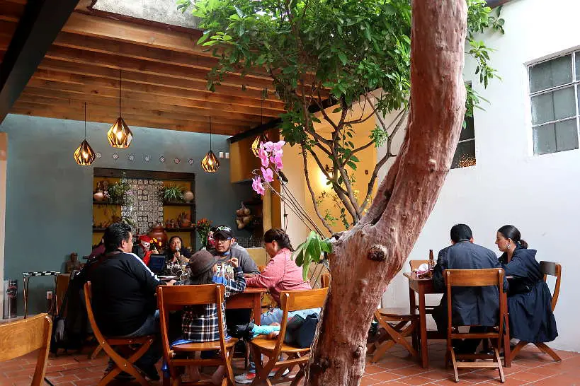 Las Quince Letras Oaxaca Restaurants by Authentic Food Quest