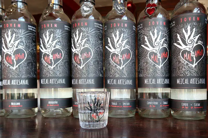 Mezcal del Amor for Mezcal Artisanal Oaxaca by Authentic Food Quest