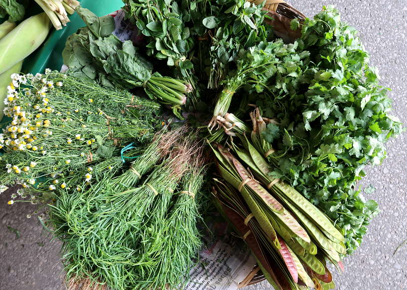 Oaxaca Herbs by Authentic Food Quest for Local Oaxaca food