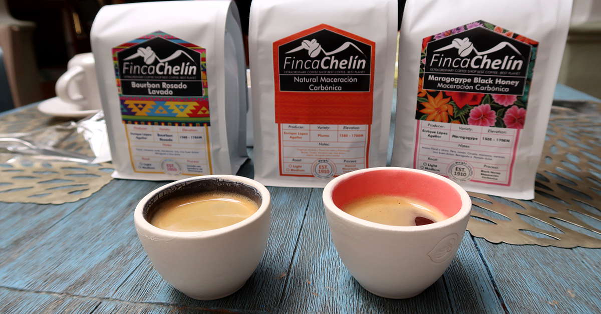 One of The Best Mexican Coffees – Finca Chelin Oaxaca Coffee Maker