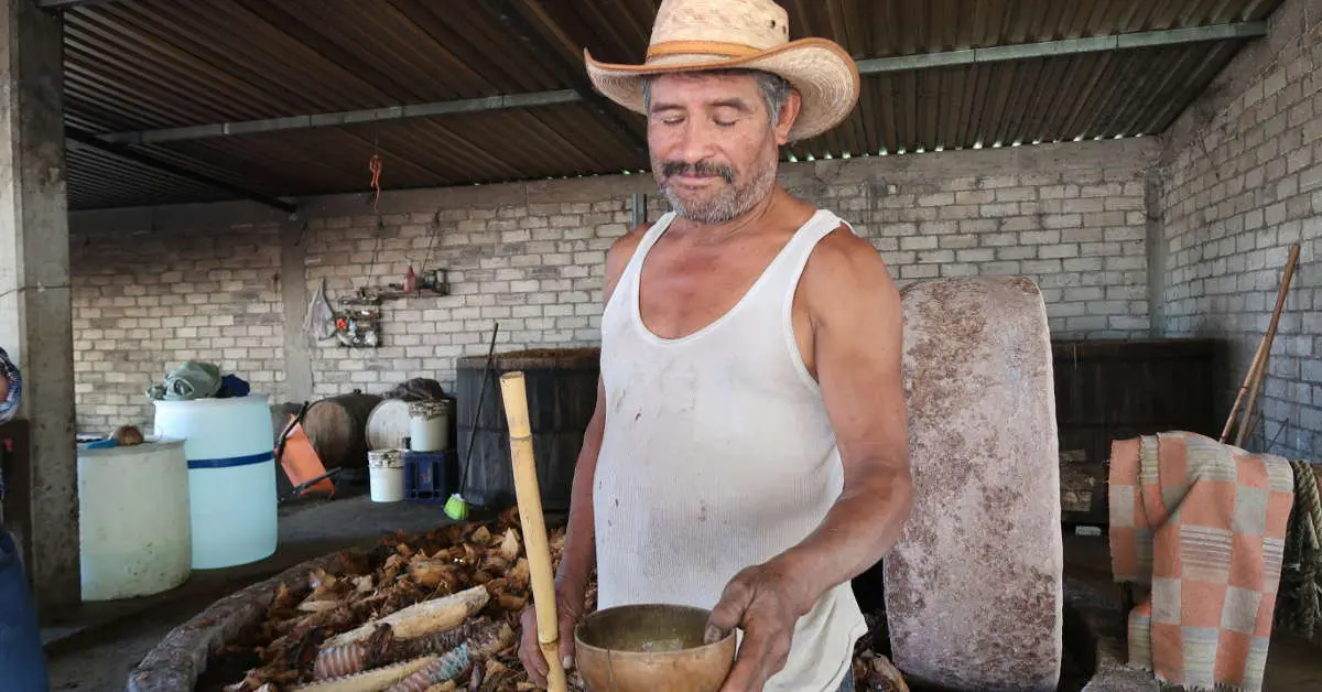 Crispin owner at Geu Beez a Mezcal Distillery on our Mezcal Tour Oaxaca by AuthenticFoodQuest