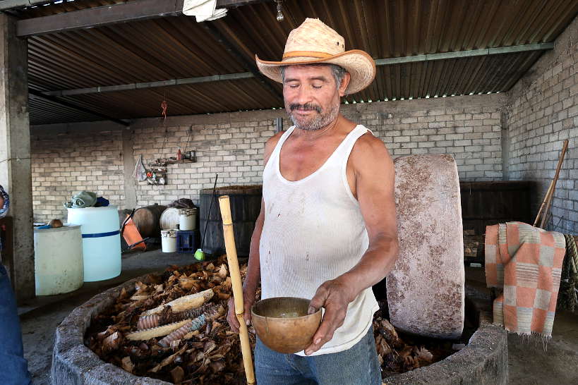 Crispin showing process to check alcohol content mezcal tour oaxaca by Authentic Food Quest