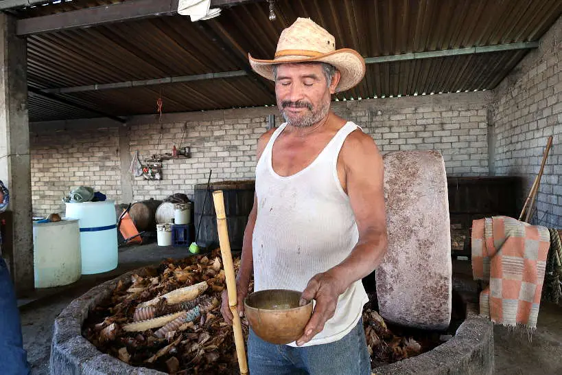 Crispin showing process to check alcohol content mezcal tour oaxaca by Authentic Food Quest