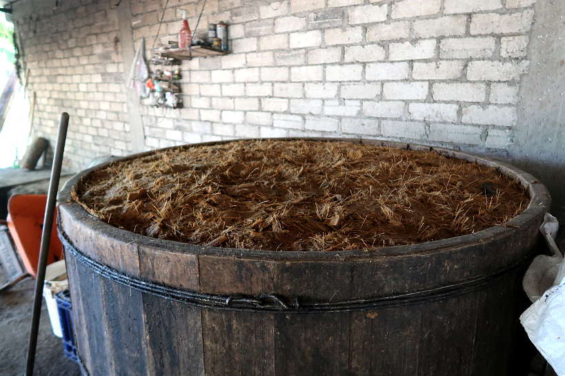 Fermentation process on mezcal tour oaxaca by Authentic Food Quest