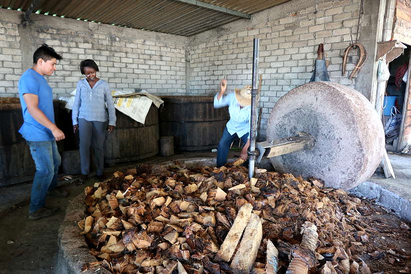 Geü Beez Mezcal distillery visit Oaxaca Mezcal Tour by Authentic Food Quest