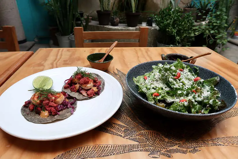 Meal at Tendajon creative restaurant in Oaxaca by Authentic Food Quest