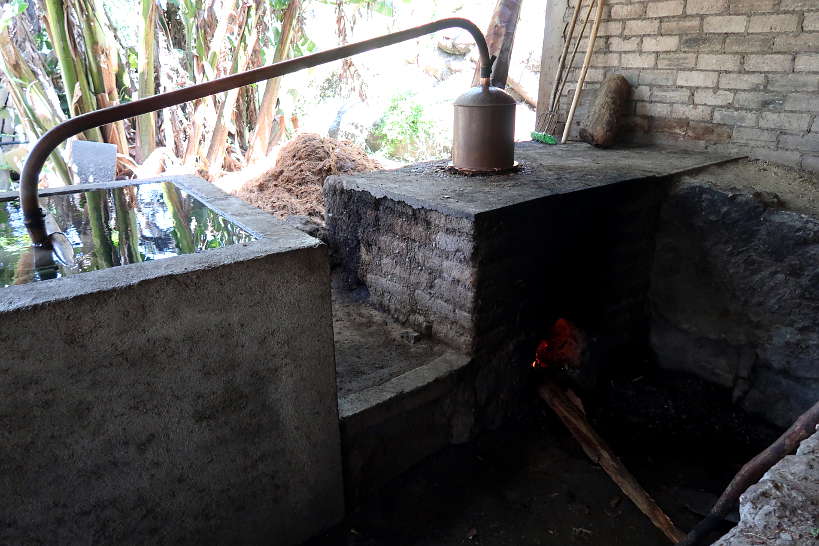 Mezcal distillation in alembics on Mezcal tour Oaxaca by Authentic Food Quest
