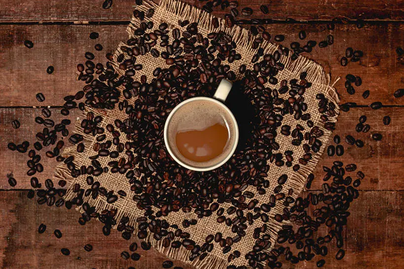 Oaxaca Coffee Cup by Carlos Alberto Gomez for Authentic Food Quest