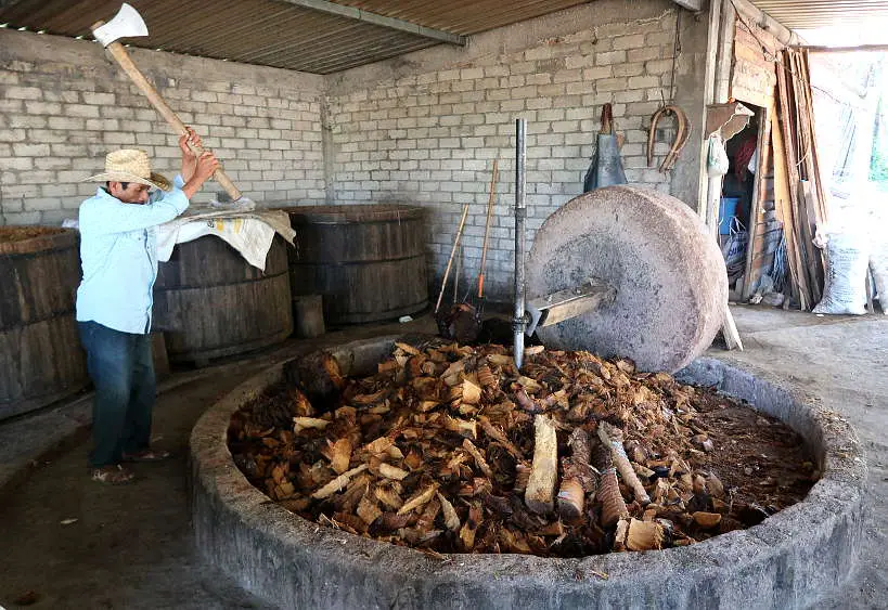 Visiting Geu Beez Distillery on Oaxaca Mezcal Tour by Authentic Food Quest