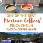 One of The Best Mexican Coffees - Finca Chelin Oaxaca Coffee Maker 1
