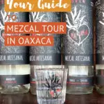 Guee Beez Palenque Visit Mezcal Tour Oaxaca by AuthenticFoodQuest