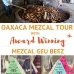Guee Beez Palenque Visit Mezcal Tour Oaxaca by AuthenticFoodQuest