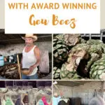 Guee Beez Palenque Visit Mezcal Tour in Oaxaca by AuthenticFoodQuest