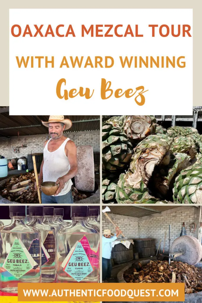 Guee Beez Palenque Visit Mezcal Tour in Oaxaca by AuthenticFoodQuest