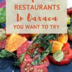Authentic Oaxaca Restaurant Guide: Top 14 Restaurants You Want to Try in Oaxaca 2