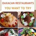 14 of the best oaxaca restaurants by Authentic Food Quest