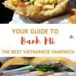 Vietnamese Sandwich Banh Mi by AuthenticFoodQuest