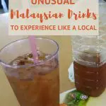 Water Chesnut Malaysian Drinks by AuthenticFoodQuest