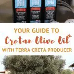 Terra Creta Olive Oil Crete by AuthenticFoodQuest