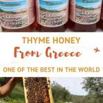 Thyme Honey from Greece by AuthenticFoodQuest
