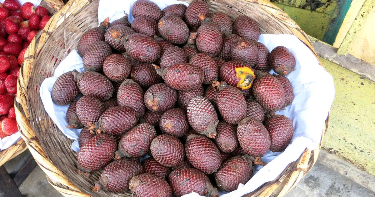 1200 Aguaje jungle fruit by Authentic Food Quest