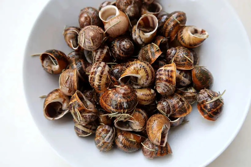 Cretan Snails From To Dixato Restaurant in Chania Crete by AuthenticFoodQuest