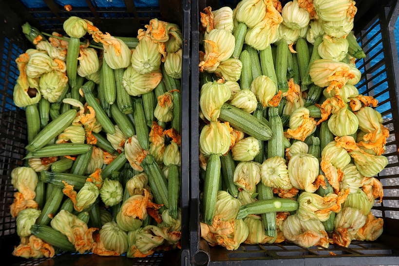 Fresh zucchini and zucchini flowers from Chania Market by AuthenticFoodQuest