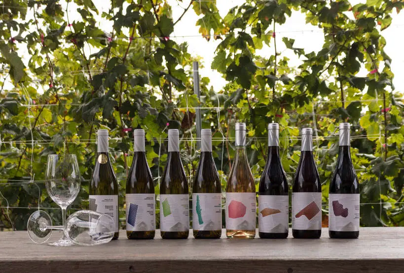 Lyrarakis Wines Crete Single Area Range by AuthenticFoodQuest