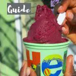 Ice cream one Food in Patagonia not to miss by AuthenticFoodQuest