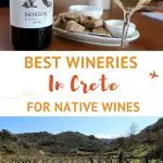 Tasting Wine Crete by AuthenticFoodQuest