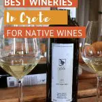 Wine tasting at a Loupakis winery Crete_AuthenticFoodQuest
