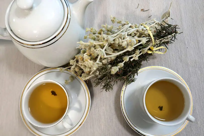 Cretan Tea by AuthenticFoodQuest