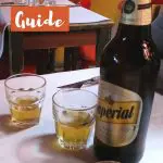 Argentina Beer Guide by AuthenticFoodQuest