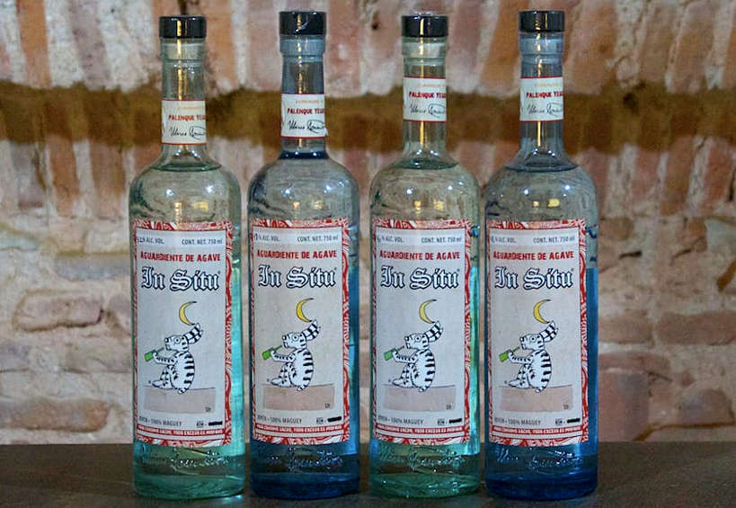 Mezcaleria In Situ Oaxaca by Authentic Food Quest