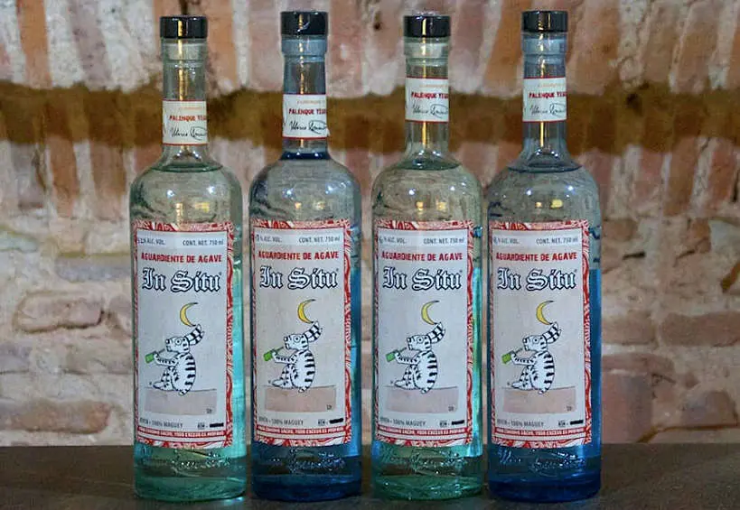 Mezcaleria In Situ Oaxaca by Authentic Food Quest