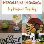 Best Mezcalerias Oaxaca by Authentic Food Quest