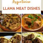 Llama Meat Dishes by AuthenticFoodQuest