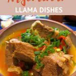 Llama Meat casserole by AuthenticFoodQuest
