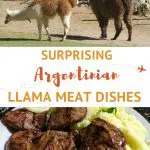 Llamas in Argentina by AuthenticFoodQuest