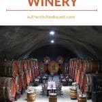 Pinterest Plantaze Montenegro by Authentic Food Quest