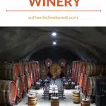 Pinterest Plantaze Montenegro by Authentic Food Quest