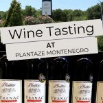 Pinterest Plantaze Wine by Authentic Food Quest