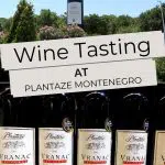 Pinterest Plantaze Wine by Authentic Food Quest