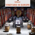 Pinterest Plantaze Winery by Authentic Food Quest