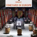 Pinterest Plantaze Winery by Authentic Food Quest