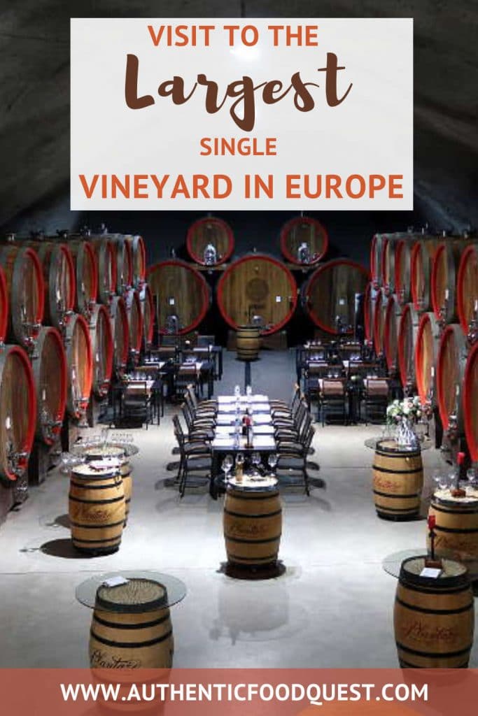 Pinterest Plantaze Winery by Authentic Food Quest