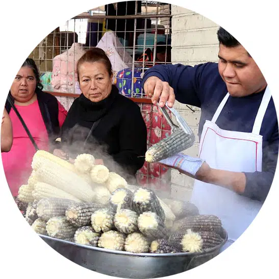 What is Authentic Food Quest 2